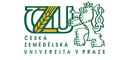 лого msmstudy