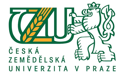 логотип ЧЗУ msmstudy