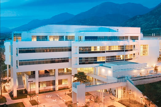 Californian State University msmstudy