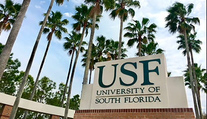 University of South Florida msmstudy