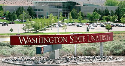 Washington State University msmstudy